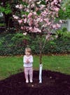 Elliot Napolitano celebrates her new tree!