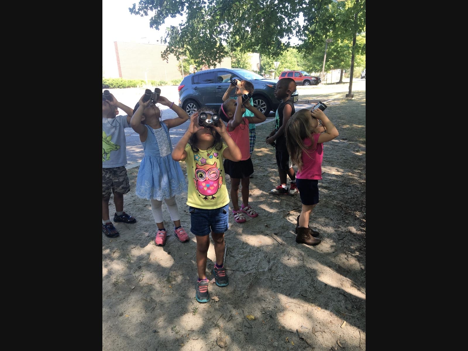 Camp nature - birding session