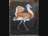 The London-based artist known as ATM painted a large image of a great bustard on the side of a building to bring attention to the fact that the bird is close to extinct in Great Britain. 
					