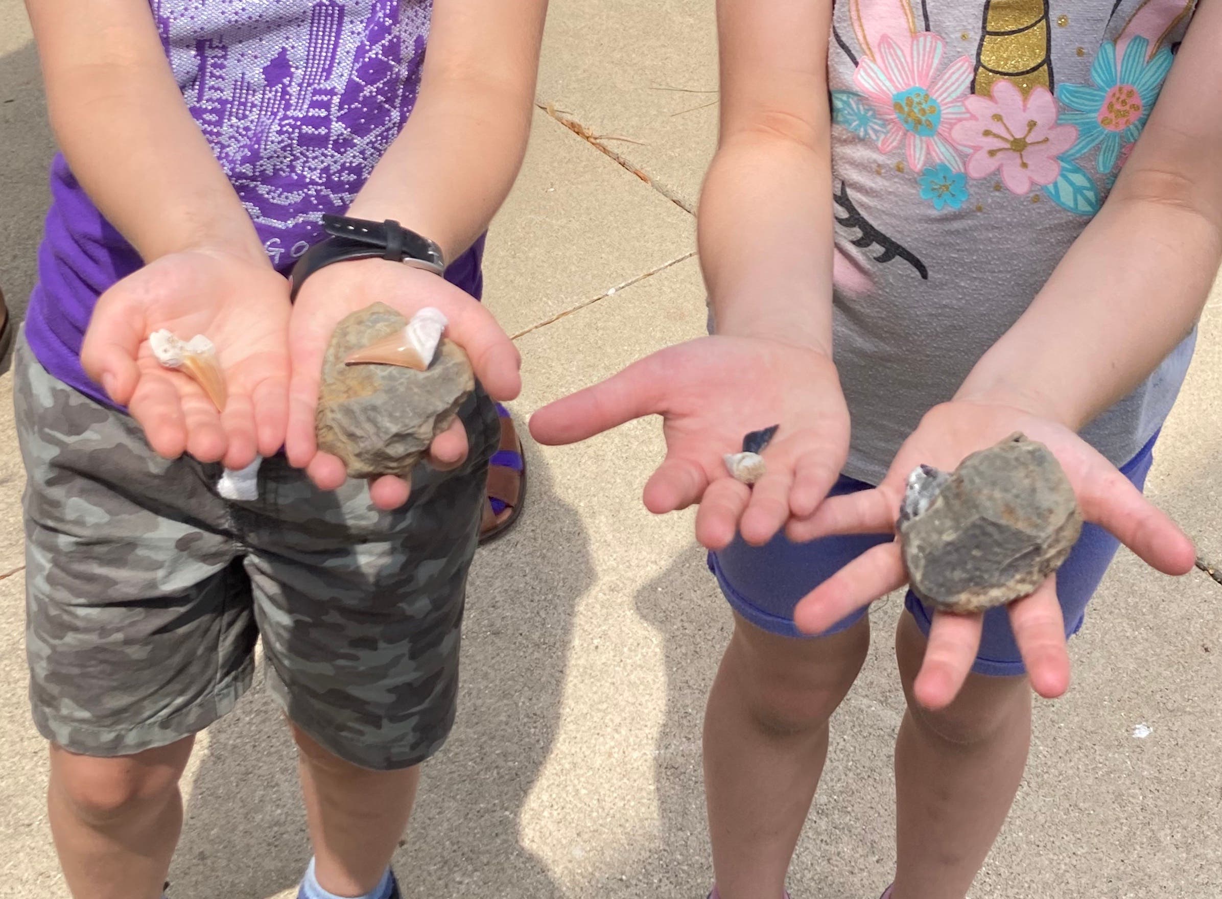 Stone Hunt