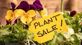 Annual Plant Sale