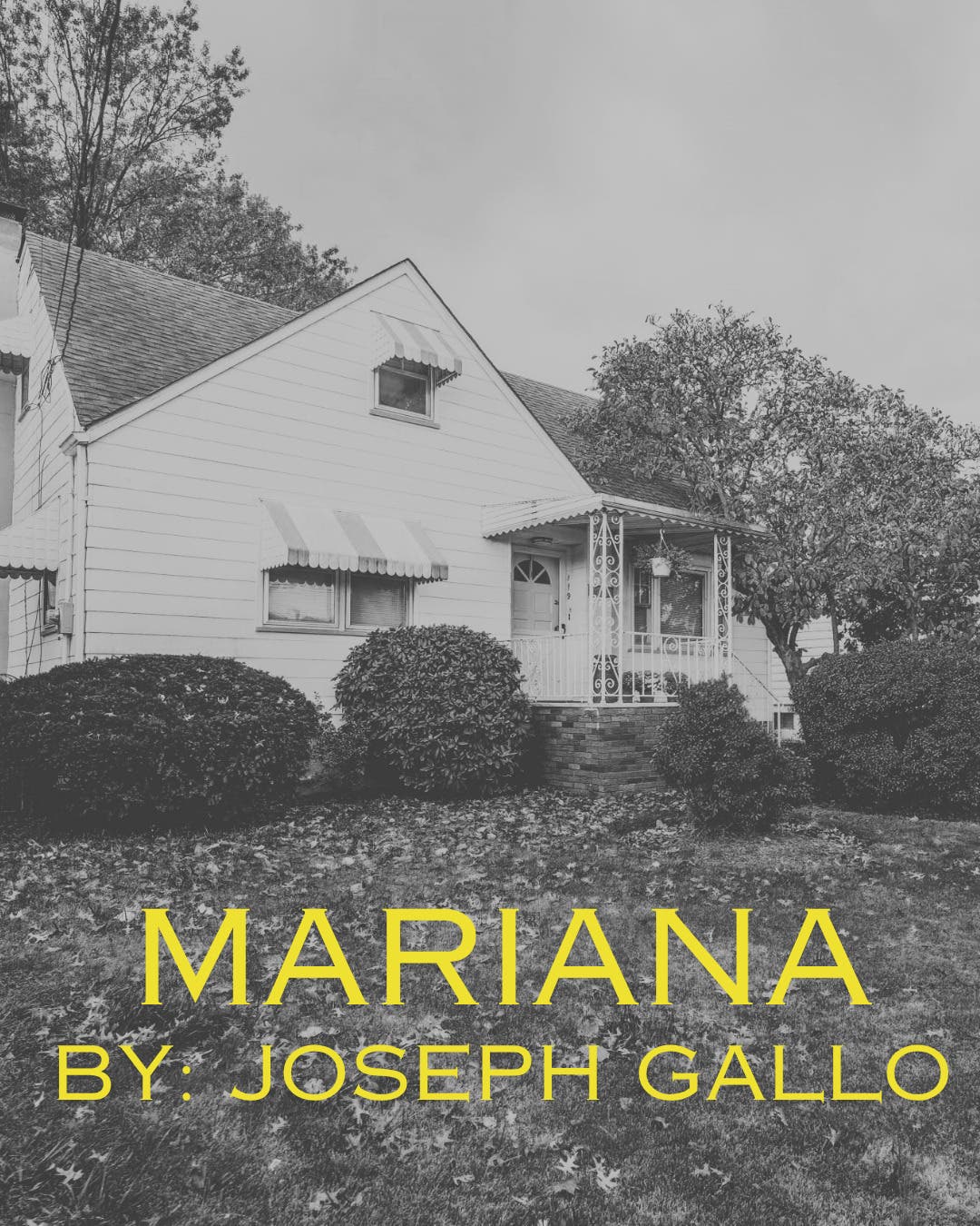 Spotlight on NJ Play Reading: Mariana