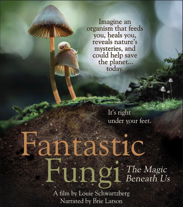 Jan 24 Fantastic Fungi The Mushroom Movie MillburnShort Hills, NJ