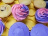 Cupcake Decorating with Suffield Parks and Recreation Department