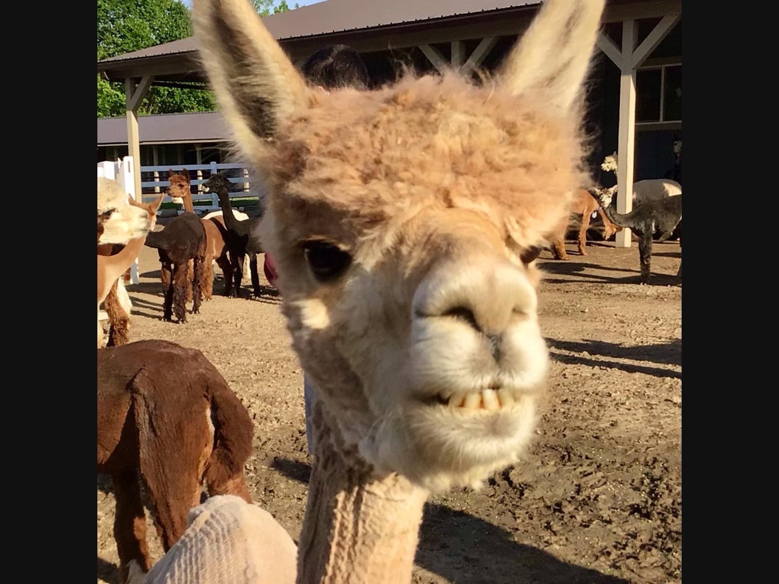 News small post card thumbnail