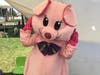 Children's Emotional Wellness Week is based on the Piggie Bear character and related tools 