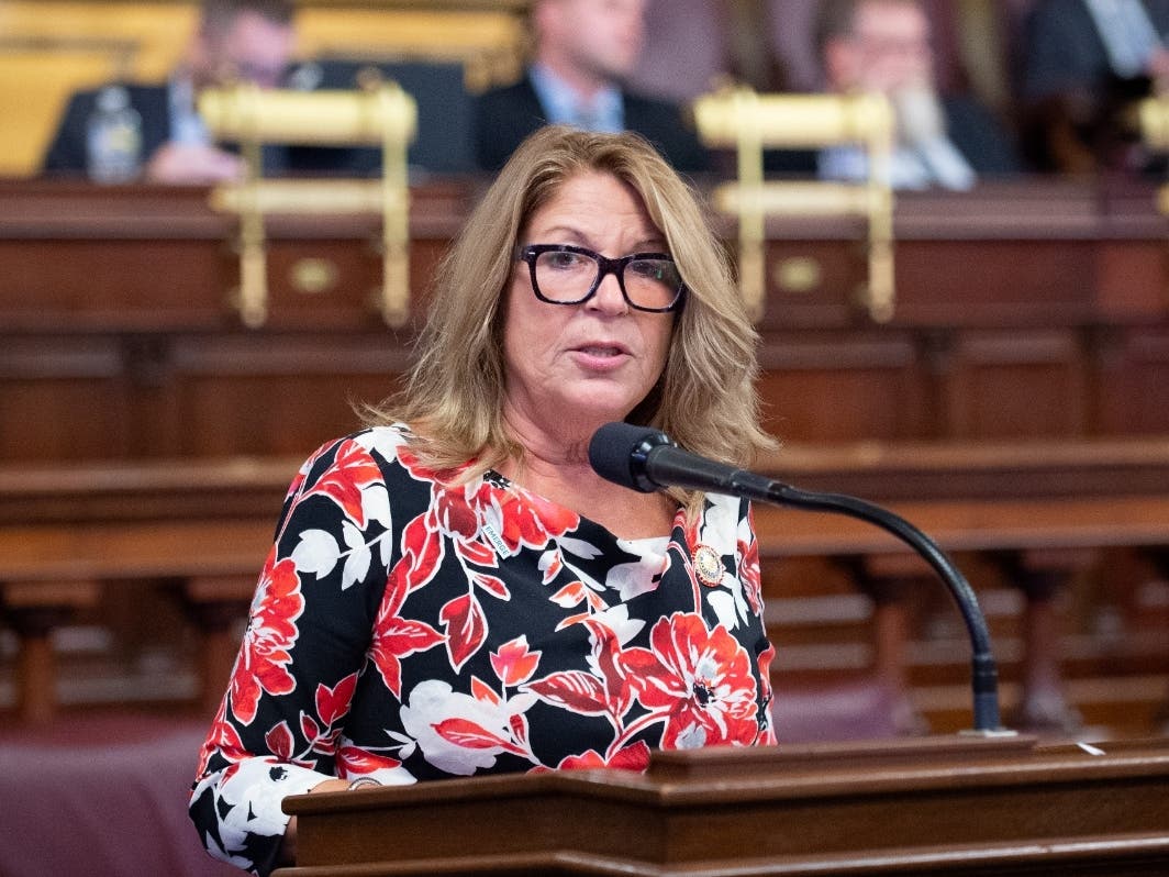 State Rep. Tina Davis announced a $255,000 grant for Bristol Township's watershed improvements.