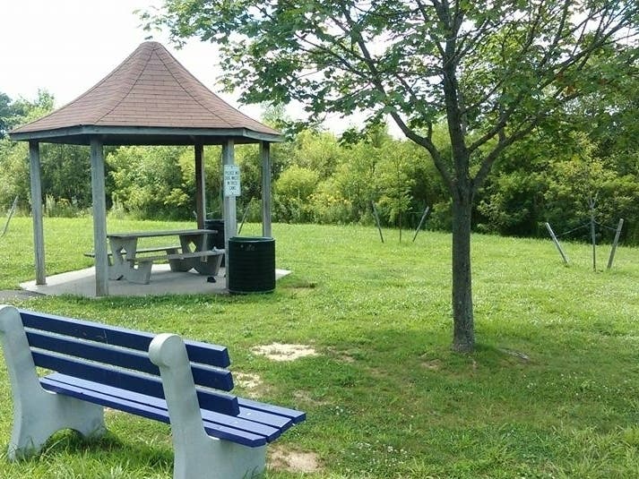 'GeeseFree Environment' Pushed For Falls Township Community Park