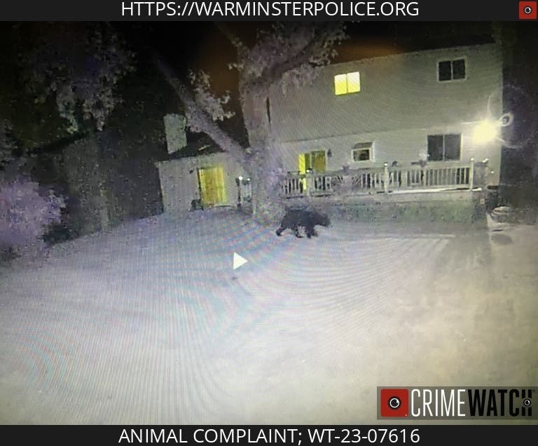 The Warminster Township Police Department and a two Lower Southampton fire companies have reported a bear sighting Wednesday morning. 
