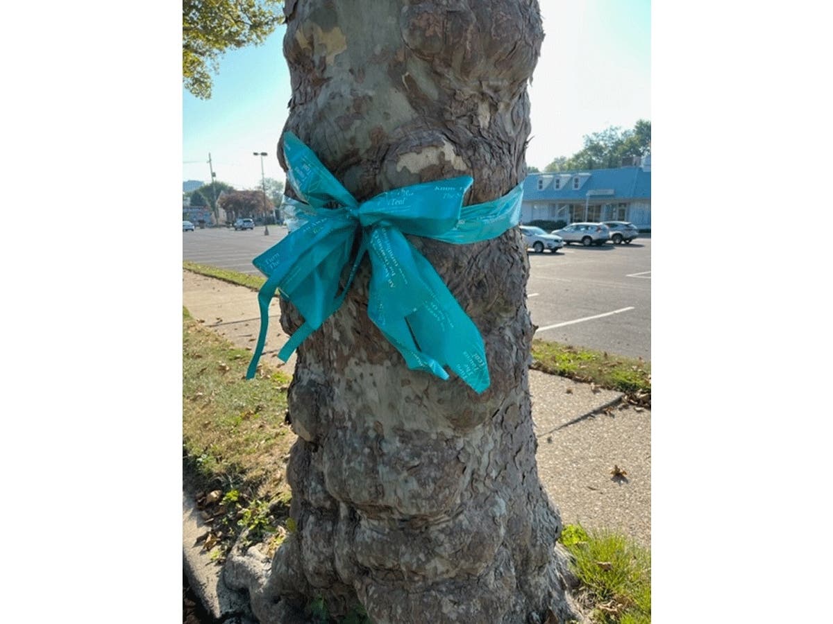 Morrisville has "turned the town teal" for "National Ovarian Cancer Awareness Month" in September