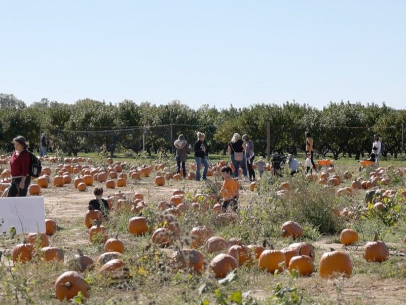 Shady Brook Farm owners are planning an "agritourism" focus as it transitions to a fifth generation in Lower Makefield Township.