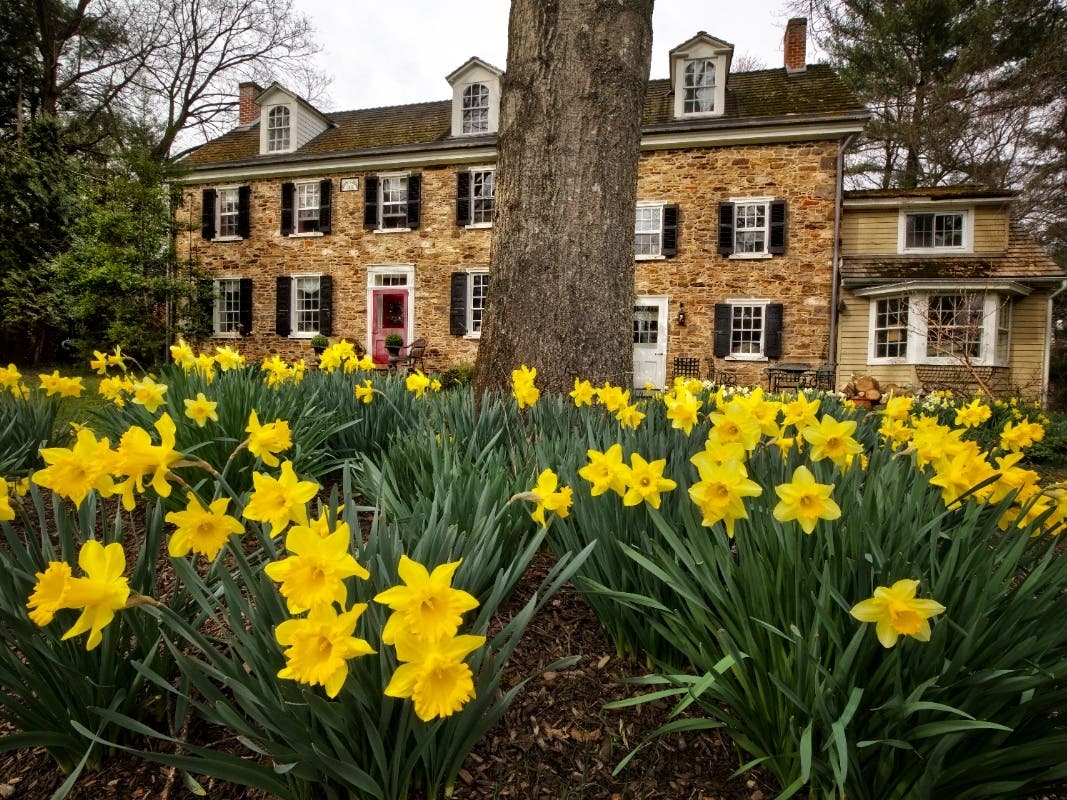 Yardley photographer Josh Friedman captures landscape frames of scenes throughout Bucks County in this Patch photo feature.