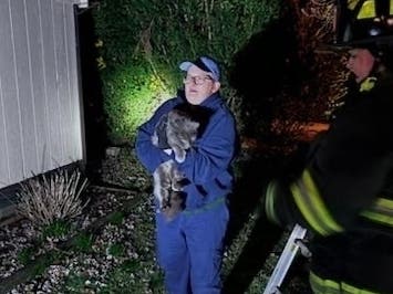 A cat was stuck in a tree in Hatboro recently for 12 hours before being rescued.