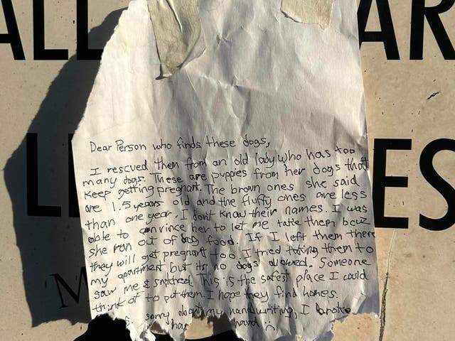 6 Dogs Found Abandoned In Morrisville Park | Yardley, PA Patch