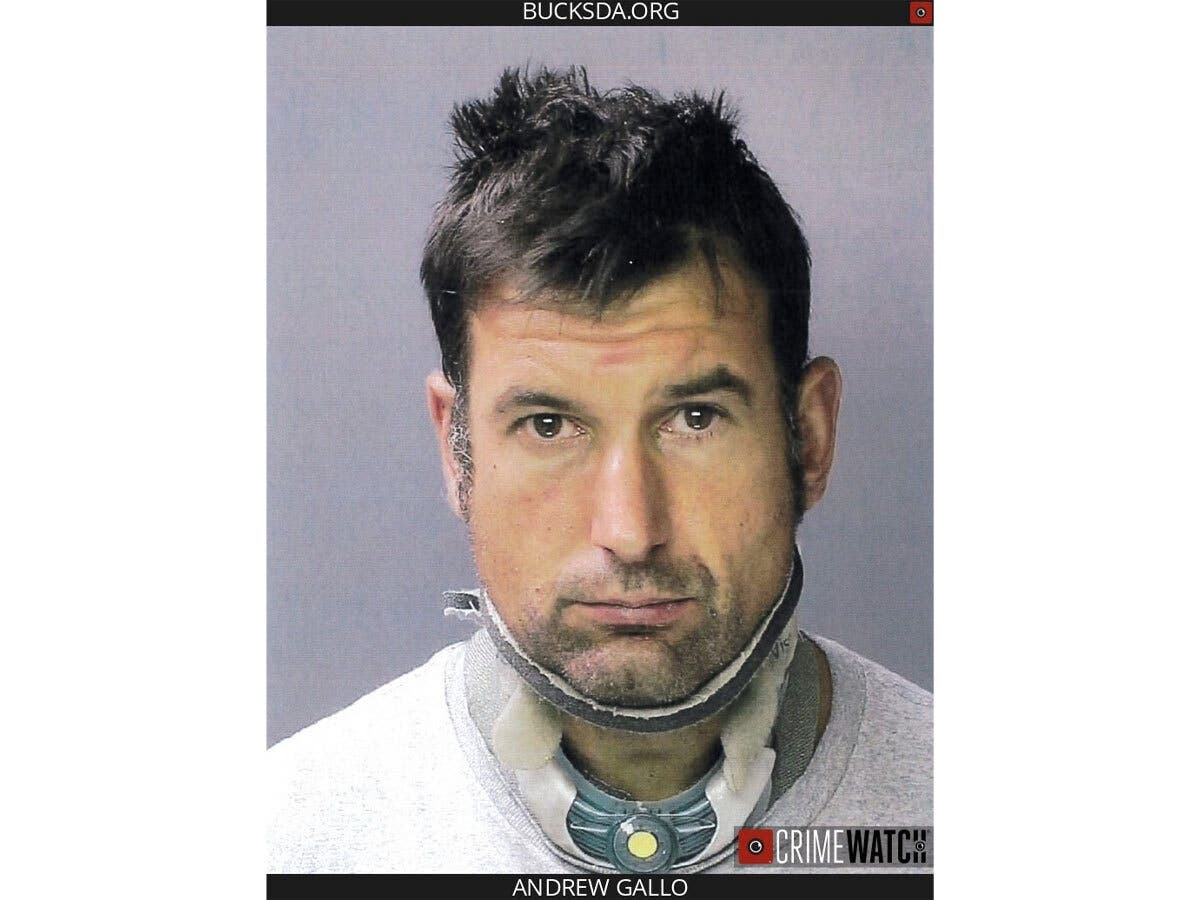 Andrew Gallo