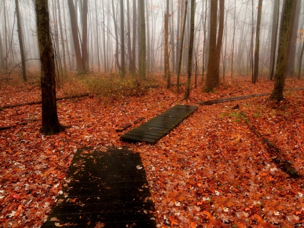 Yardley photographer Josh Friedman captures landscape frames of scenes throughout Bucks County in this Patch photo feature.
