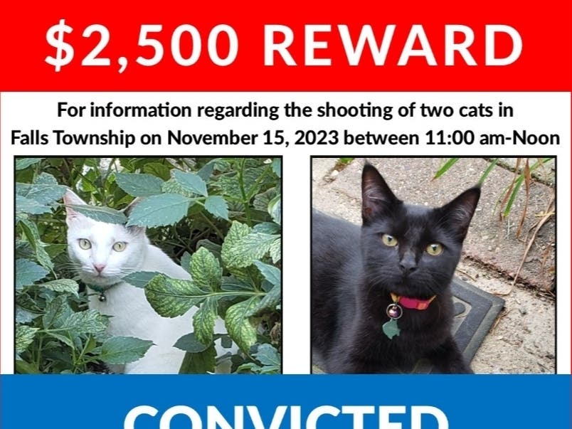 The Bucks County SPCA has paid a $2,500 reward that led to the conviction of a man who shot two cats in Fairless Hills in November 2023.