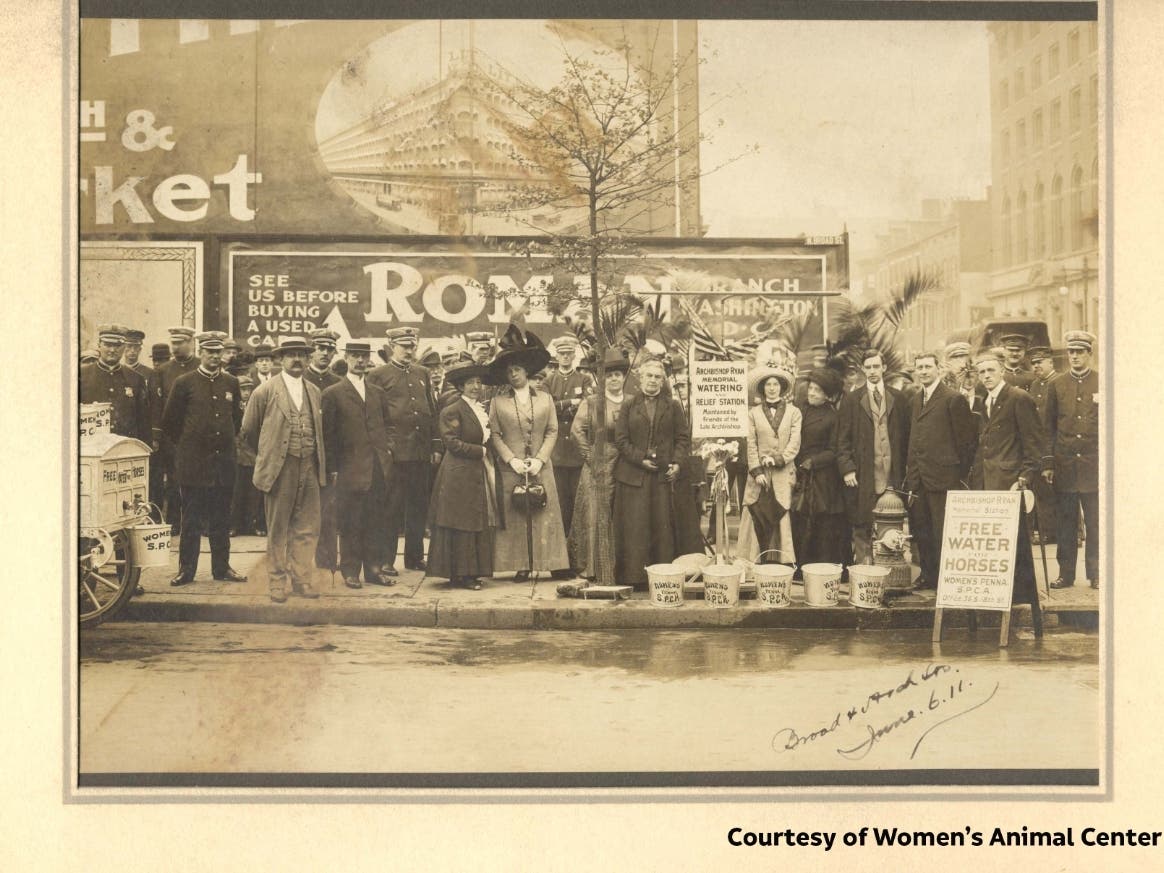 The Women's Animal Center in Bensalem is celebrating Women's History Month in March and its 157th anniversary of America's first animal shelter.