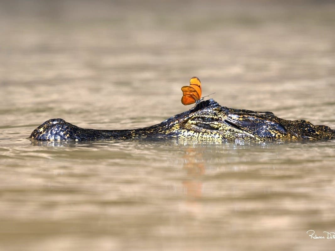 The "Not Your Run of the Mill" Photo Show will be on view from April 19 to 26 in Solebury Township.