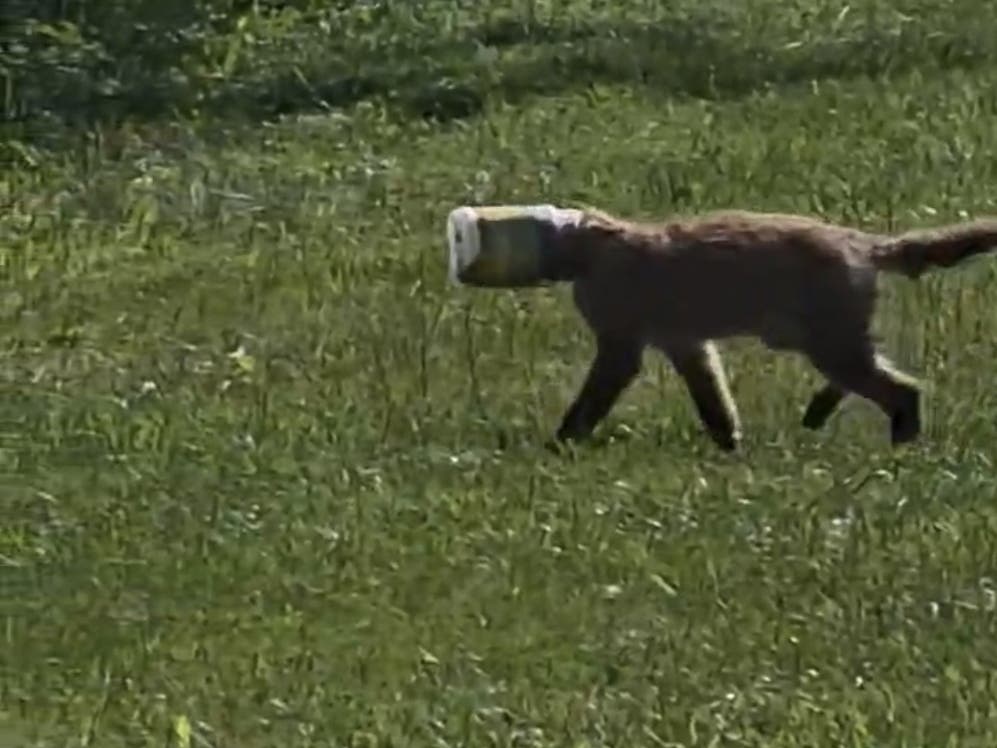 Hatboro officials are warning residents not to feed wildlife as they appear more often now with the warmer weather.