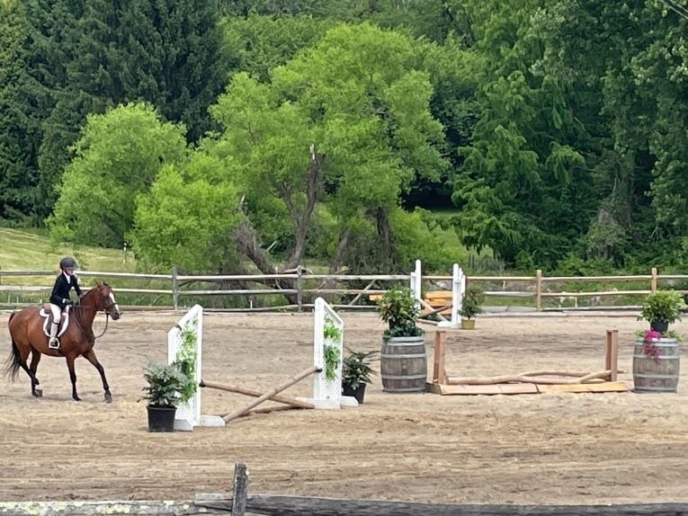 A Horse & Pony Show highlighted the June Fete Fair held this past weekend at the fairgrounds on Edge Hill Road in Huntingdon Valley.
