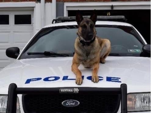 The Lower Makefield Township Police Department is mourning the passing of retired K9 Recon.