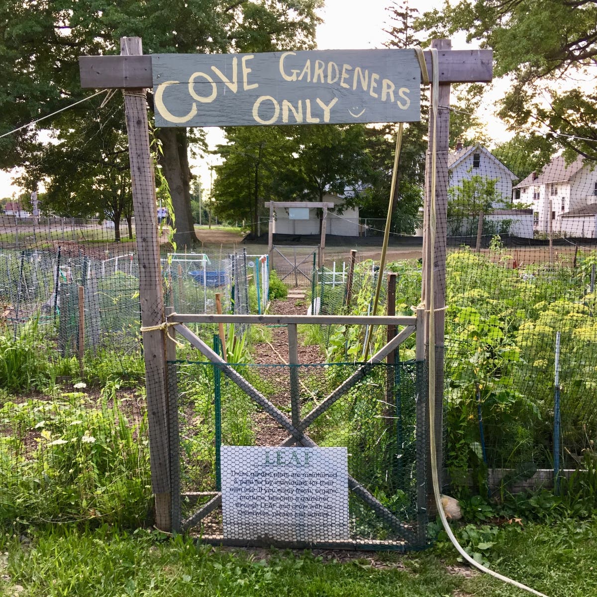 Cove Park Community Gardens