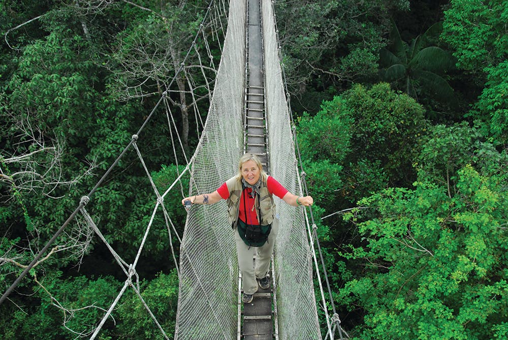 Mission Green — The Importance of Both Local and Global Forests