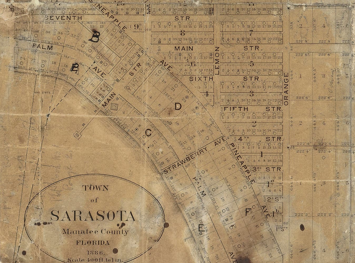 The Many Origins of Sarasota