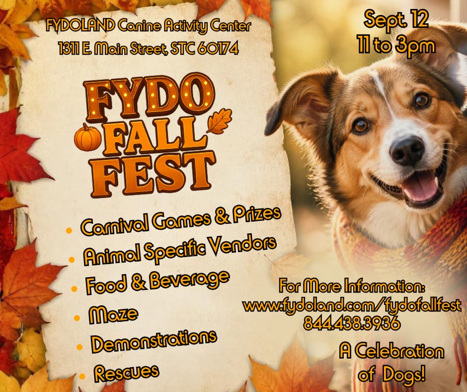 FYDO Fall Fest