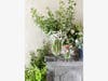 Sandra Sigman of Les Fleurs will be the presenter at the March 5 Andover Garden Club meeting, open to the public.