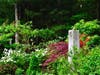 On April 2, garden designer and sculptor Karin Stanley will present a program in Andover.
