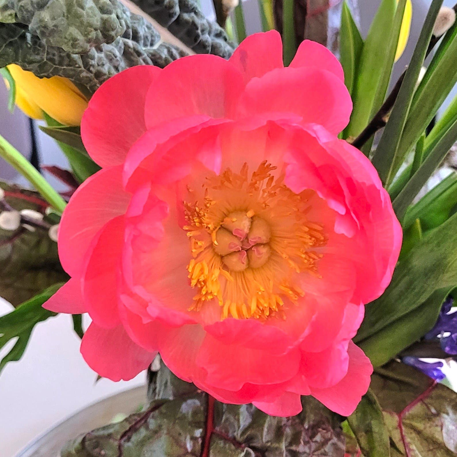 Andover Garden Club Presents Floral Arranger Gail Hubacker