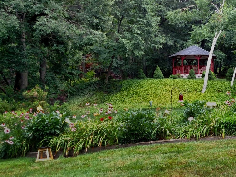 A portion of Maria Shapiro's Andover garden.