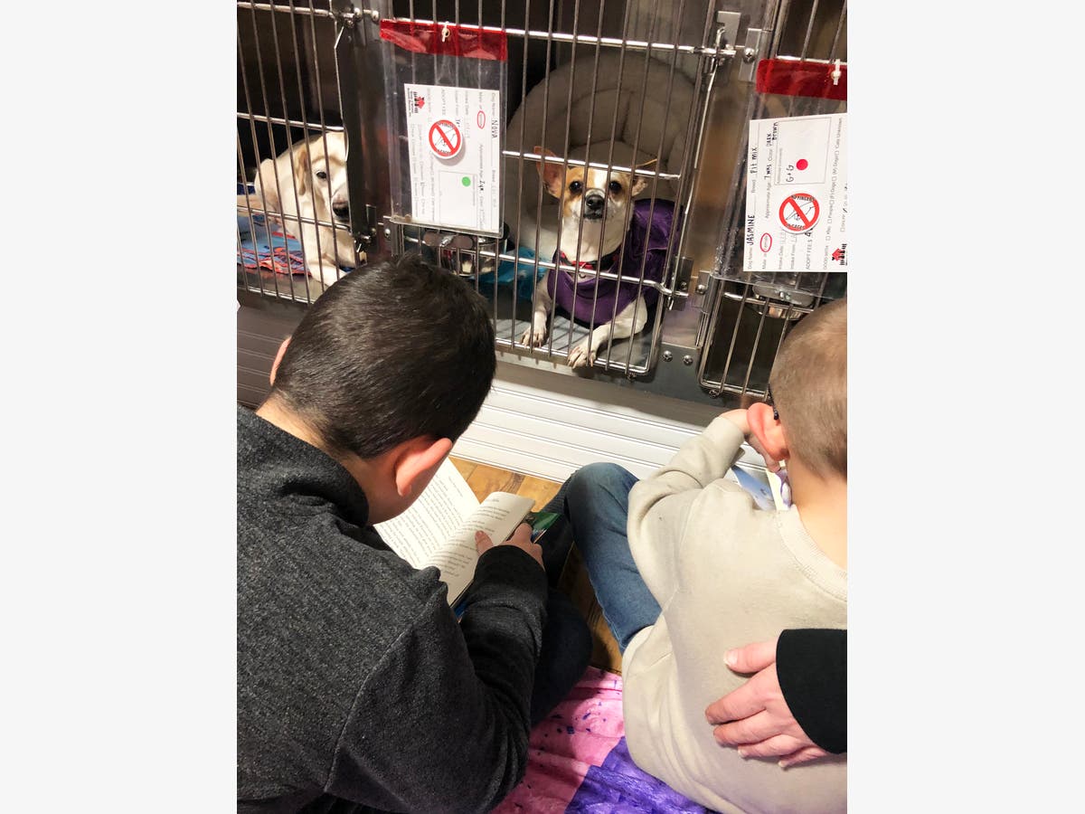 Students Edgar Rios and Gabriel Travis enjoyed reading to the dogs.