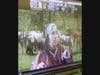 Joyce McFarland, Education Manager for the Nez Perce Tribal Nation in Idaho, give students insight about the Nez Perce tribe.  