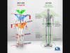 Foot imbalances can cause foot pain but translate up to the rest of the body causing knee, hip, back and even neck pain.