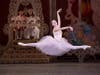 Northport native Erica Pereira as the Sugarplum Fairy in New York City Ballet's production of George Balanchine's "The Nutcracker," a role she performs as a guest star with New York Dance Theatre's production at Hofstra University December 16 and 17.