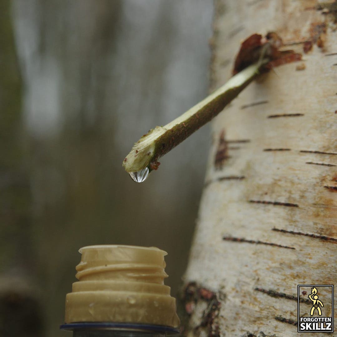 Wilderness Survival Series: Water Systems