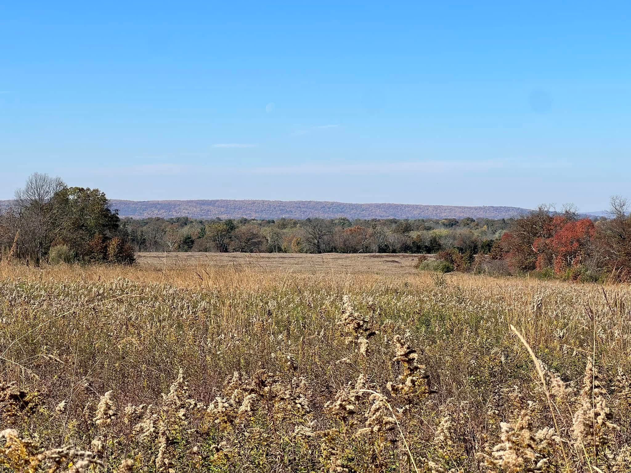 Kingston Greenways Association Annual Fall Foliage Walk