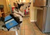 Opening the fridge