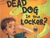 The Cover