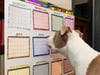 Jazzy Learning the Months