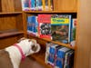 Jazzy wants to read up on Virginia, her home state
