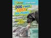 Dog Finds Lost Dolphins