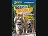 Tigers in Trouble