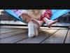Hammocking