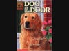 Dog at the Door