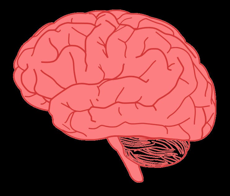 Guest Speaker at Ashbridge House: Preserving Brain Health