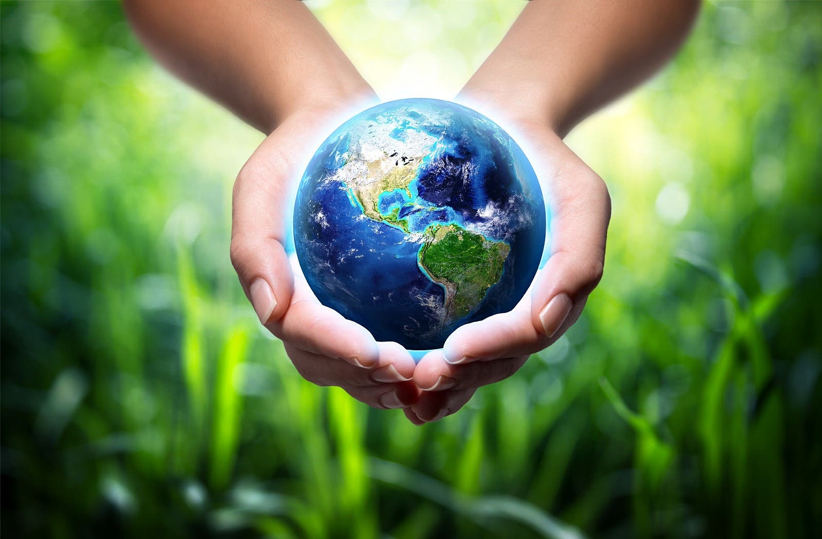 "Protect our Planet" at New Horizons in Narberth